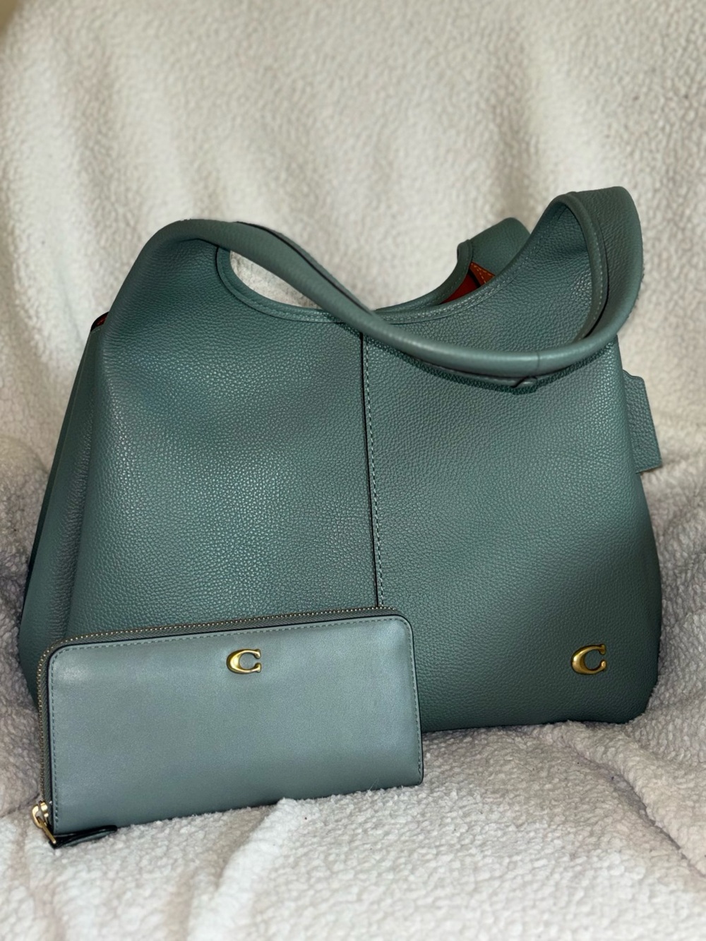 Coach Leather Shoulder Bag & Wallet in Sage